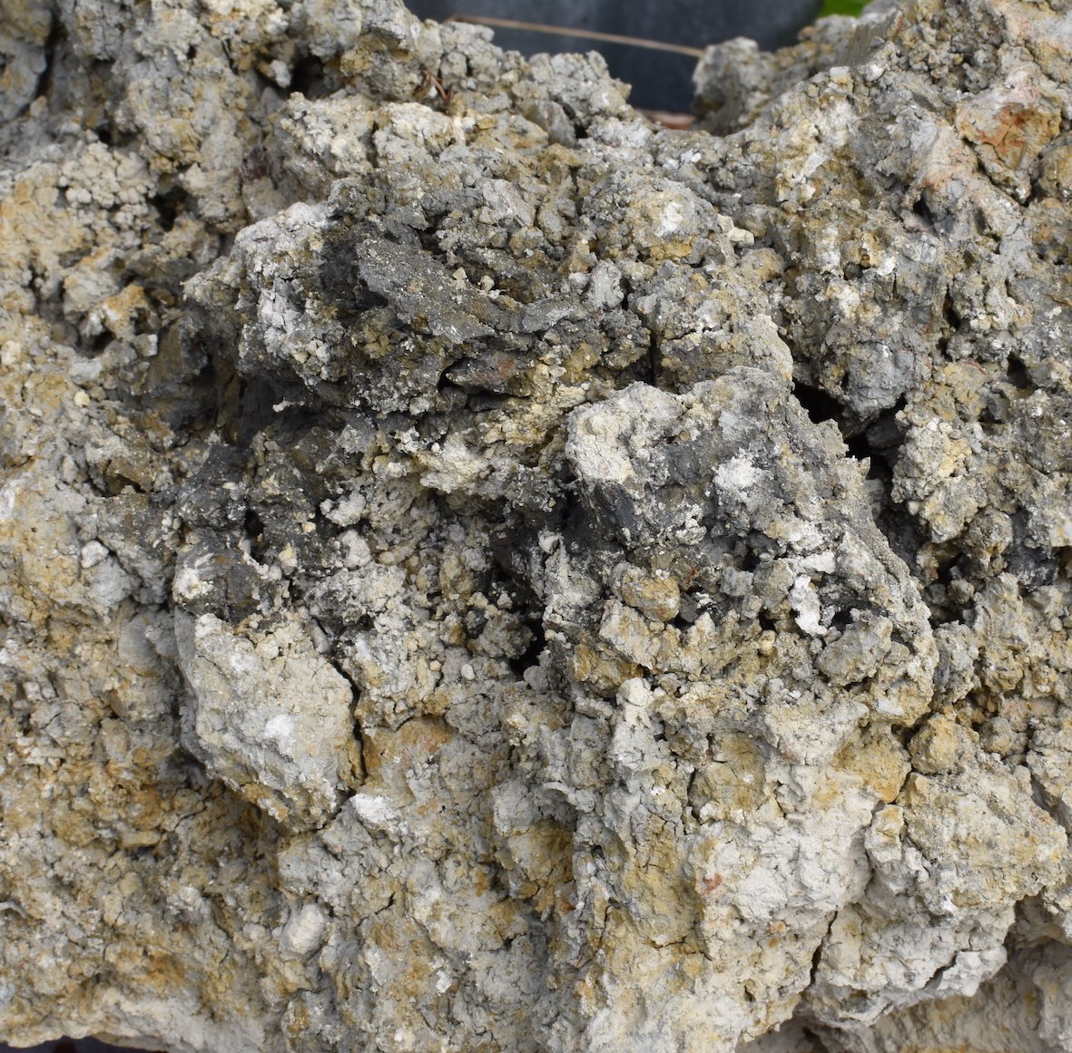 kimmeridge clay